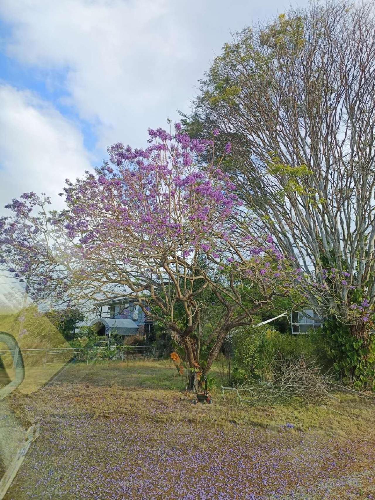 Yny Guest House Waterford Bagian luar foto